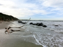 catlins (60)